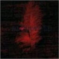 Sonic Debris : Blindfold